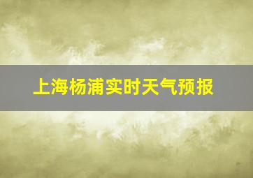 上海杨浦实时天气预报