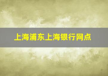 上海浦东上海银行网点