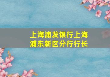 上海浦发银行上海浦东新区分行行长