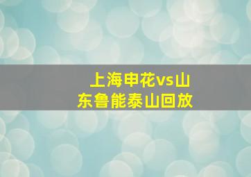 上海申花vs山东鲁能泰山回放