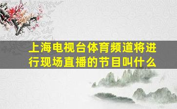 上海电视台体育频道将进行现场直播的节目叫什么