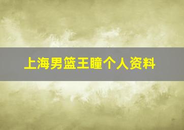 上海男篮王瞳个人资料