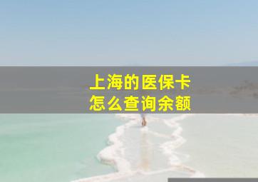 上海的医保卡怎么查询余额