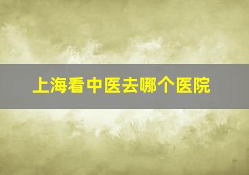 上海看中医去哪个医院