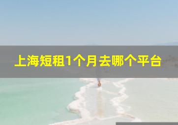 上海短租1个月去哪个平台