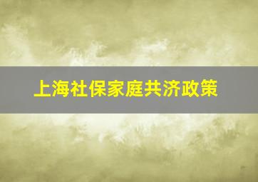 上海社保家庭共济政策