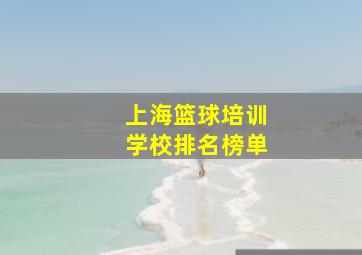 上海篮球培训学校排名榜单