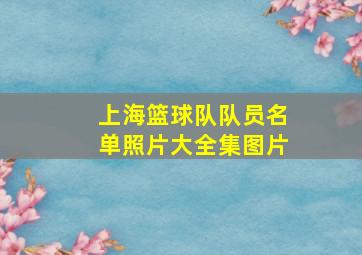 上海篮球队队员名单照片大全集图片