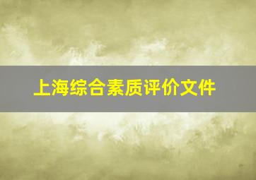 上海综合素质评价文件