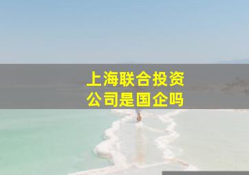 上海联合投资公司是国企吗