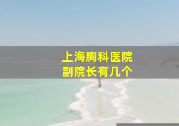 上海胸科医院副院长有几个