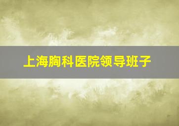 上海胸科医院领导班子