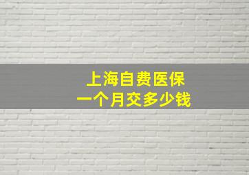 上海自费医保一个月交多少钱