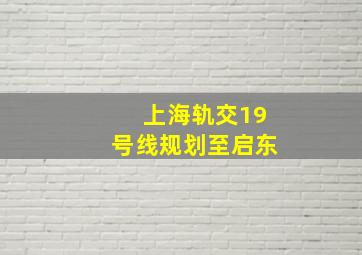 上海轨交19号线规划至启东