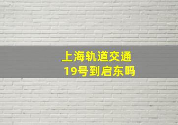 上海轨道交通19号到启东吗