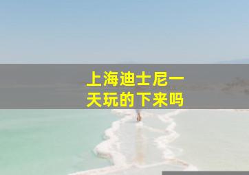 上海迪士尼一天玩的下来吗