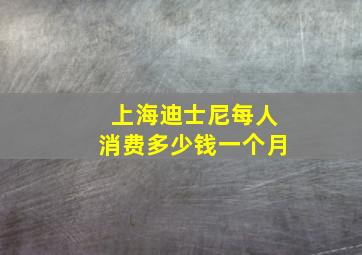 上海迪士尼每人消费多少钱一个月