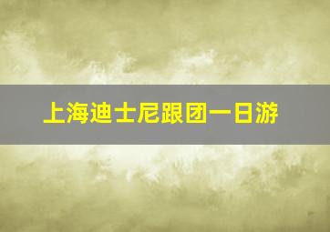 上海迪士尼跟团一日游