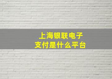 上海银联电子支付是什么平台