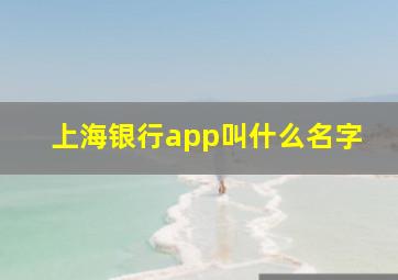 上海银行app叫什么名字