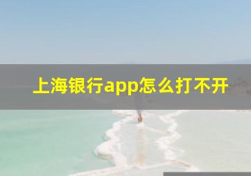 上海银行app怎么打不开