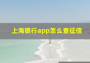 上海银行app怎么查征信