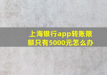 上海银行app转账限额只有5000元怎么办