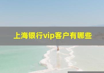 上海银行vip客户有哪些