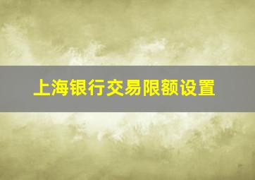 上海银行交易限额设置