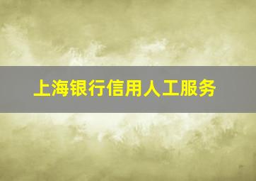 上海银行信用人工服务