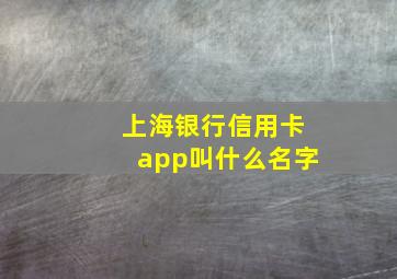 上海银行信用卡app叫什么名字