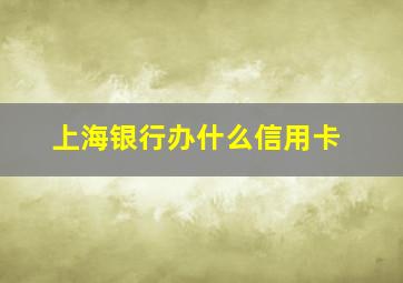 上海银行办什么信用卡