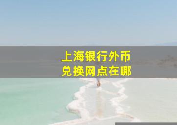 上海银行外币兑换网点在哪