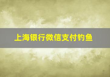 上海银行微信支付钓鱼