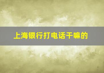 上海银行打电话干嘛的