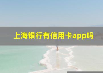 上海银行有信用卡app吗