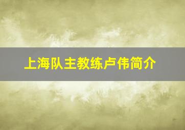 上海队主教练卢伟简介