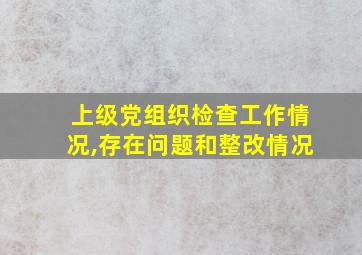 上级党组织检查工作情况,存在问题和整改情况