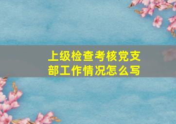 上级检查考核党支部工作情况怎么写