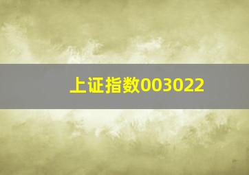 上证指数003022