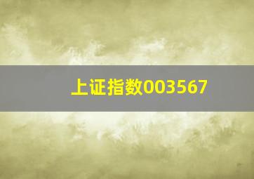 上证指数003567