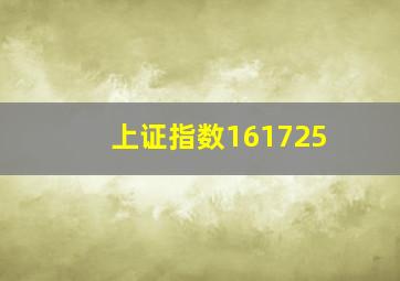 上证指数161725