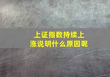 上证指数持续上涨说明什么原因呢