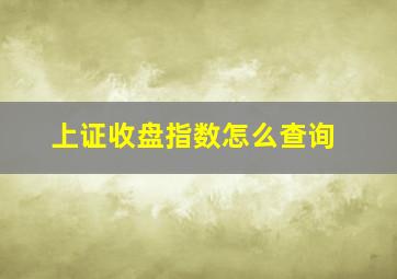 上证收盘指数怎么查询