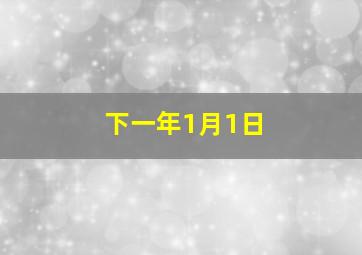 下一年1月1日