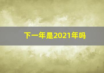 下一年是2021年吗