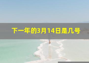 下一年的3月14日是几号