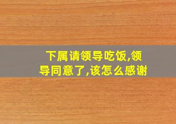 下属请领导吃饭,领导同意了,该怎么感谢