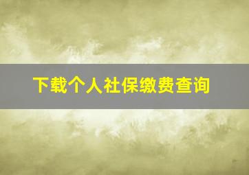 下载个人社保缴费查询