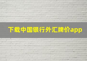 下载中国银行外汇牌价app